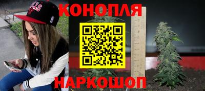 Альфа ПВП Кандалакша