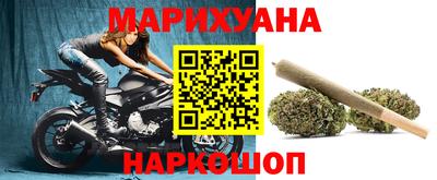 Альфа ПВП Кандалакша