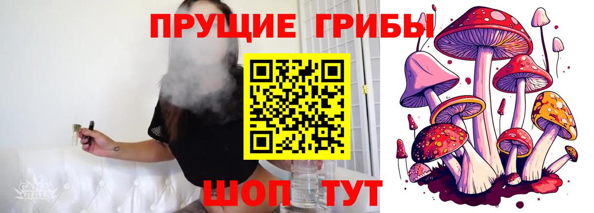 Галлюциногенные грибы Cubensis Бирск