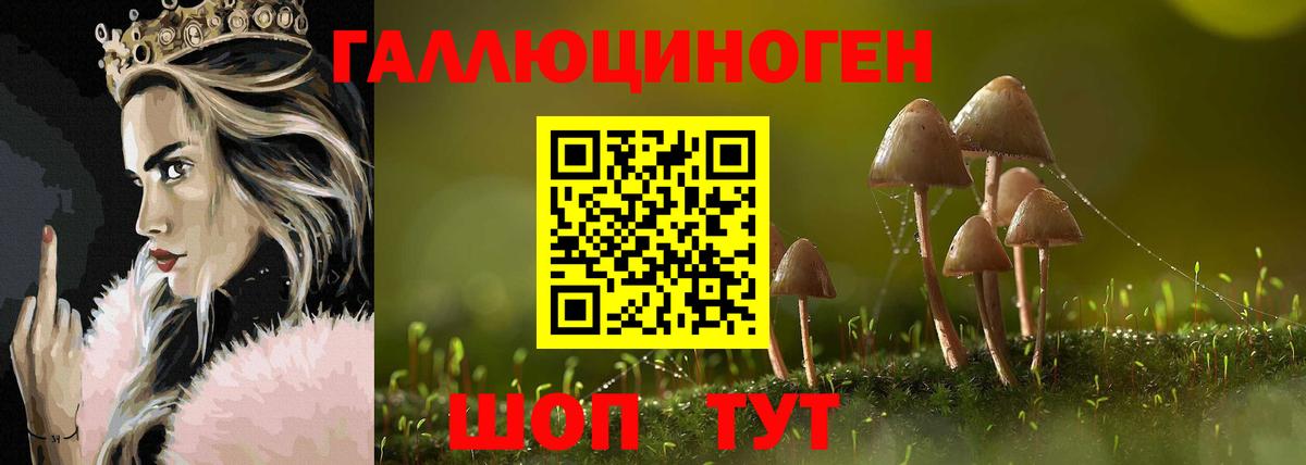 Бирск  Галлюциногенные грибы прущие грибы  Вход с VPN 